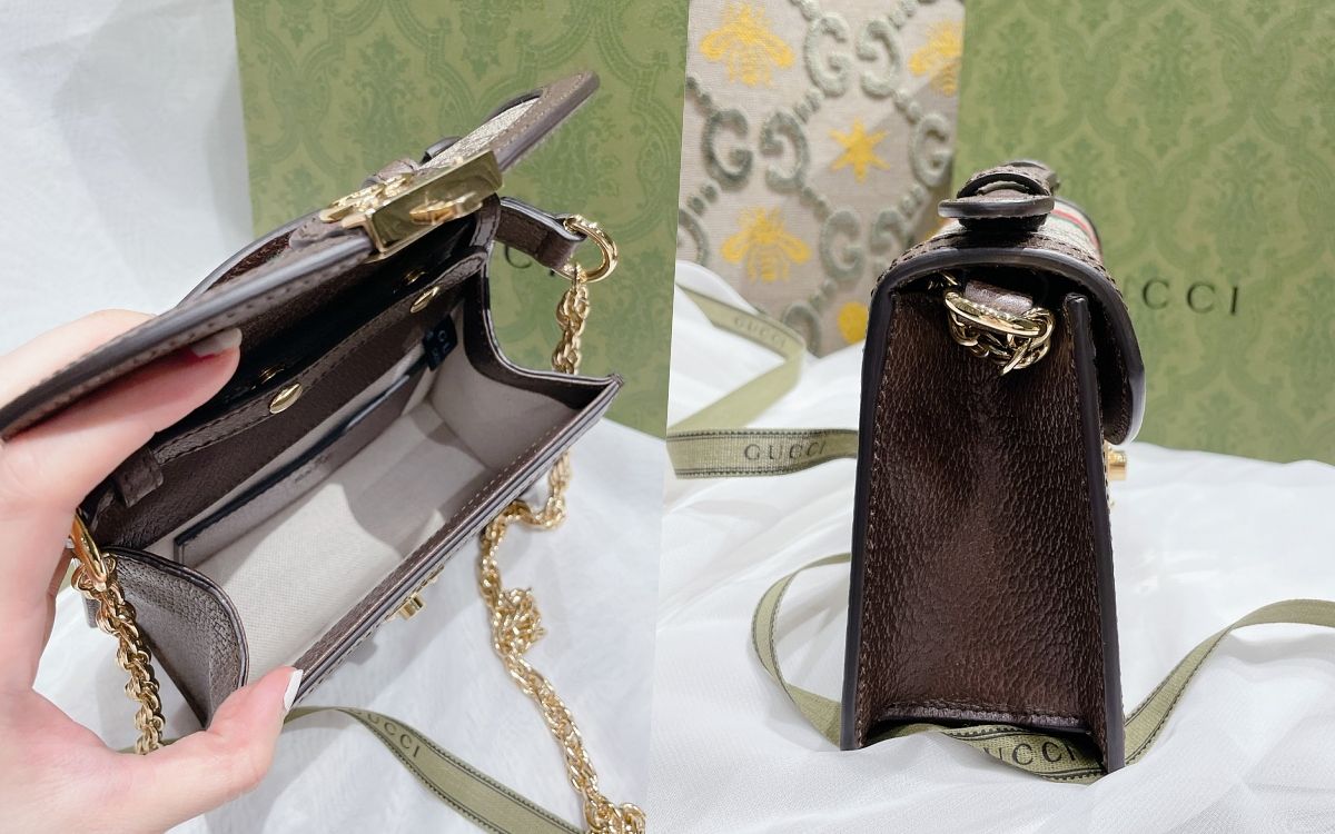 GUCCI Ophidia GG mini shoulder bag