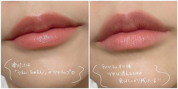 2021「開架唇彩」推薦KATE LIP MONSTER唇膏